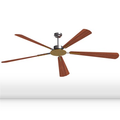 10 FT modern simple 6 Aluminum blades household ceiling fan with led light electric meter